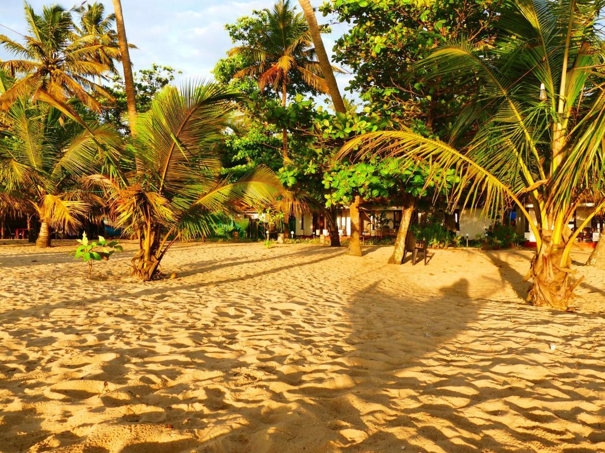 Marari Sealap Beach Villas Mararikulam Ngoại thất bức ảnh