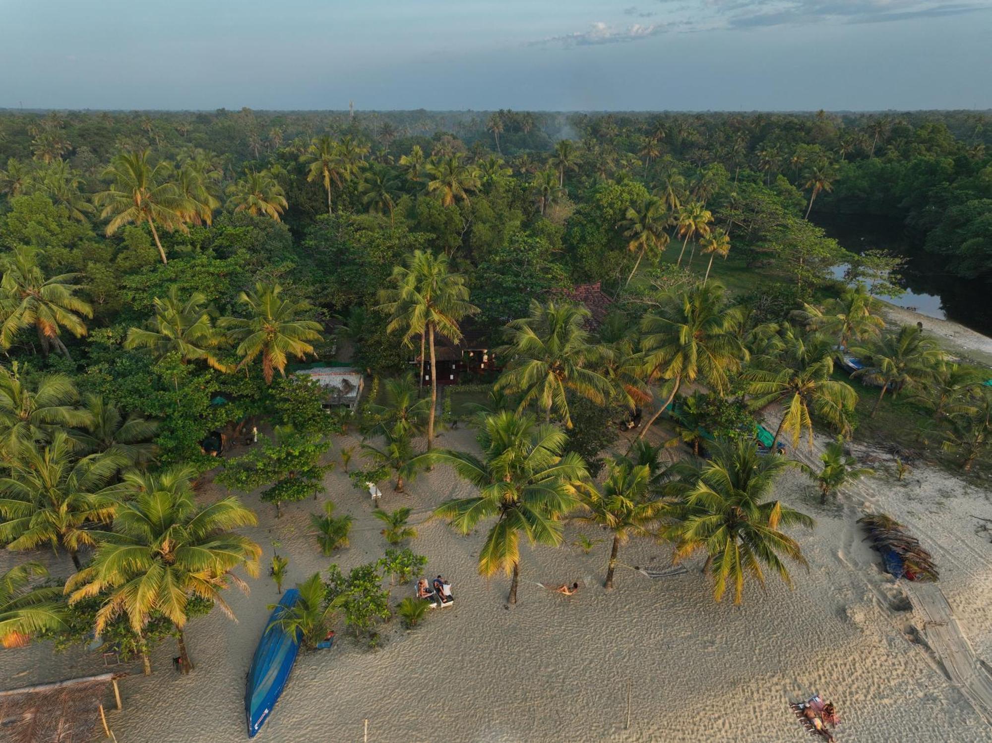 Marari Sealap Beach Villas Mararikulam Ngoại thất bức ảnh